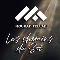 Mourad Tellab
