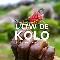 L'ITW DE KOLO - Sors de ton cocon