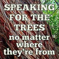 Speaking for the Trees, No Matter Where They're From