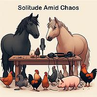 Solitude Amid Chaos