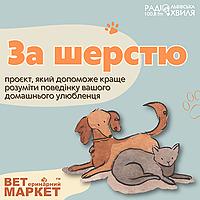 За шерстю