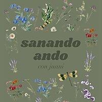 sanandoando con juani