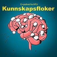 Kunnskapsfloker