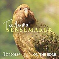 The Animal Sensemaker