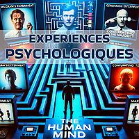 Explorations Psychologiques : Les Expériences qui Révèlent l'Esprit Humain