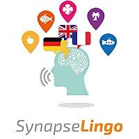 SynapseLingo Apprendre l'allemand