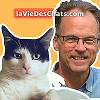 laVieDesChats