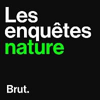 Les enquêtes nature