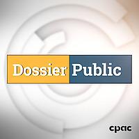 Dossier public