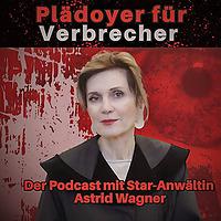Plädoyer für Verbrecher