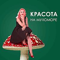 Красота на мухоморе