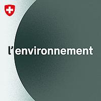 l'environnement