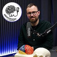 Hjernerystet