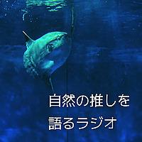 草とか石とかのラジオ　〜耳で聴く自然探求〜