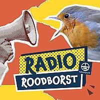 Radio Roodborst