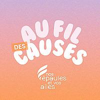 Au fil des causes