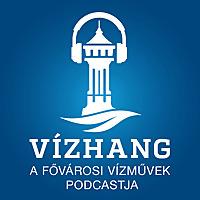 Vízhang