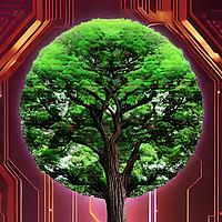 ÆON imminent 🧬 🌀