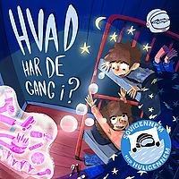 Hvad har de gang i?