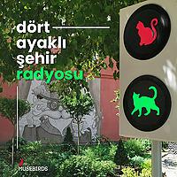 Dört Ayaklı Şehir Radyosu