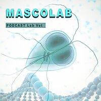 Mascolab
