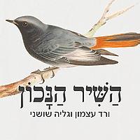 השיר הנכון