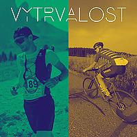 Vytrvalost