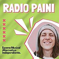 Radio Paini