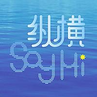 纵横 Say Hi
