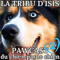 La Tribu d'Isis - pawcast du chien par le chien