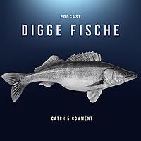 DIGGE FISCHE