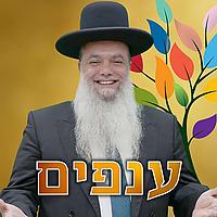 הרב יגאל כהן - שיעורים שבועיים