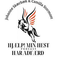 Hjælp! Min hest har adfærd