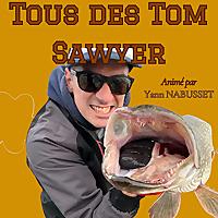 Tous des Tom Sawyer