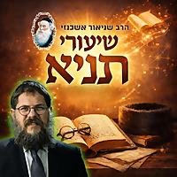 הרב שניאור אשכנזי - שיעורי תניא