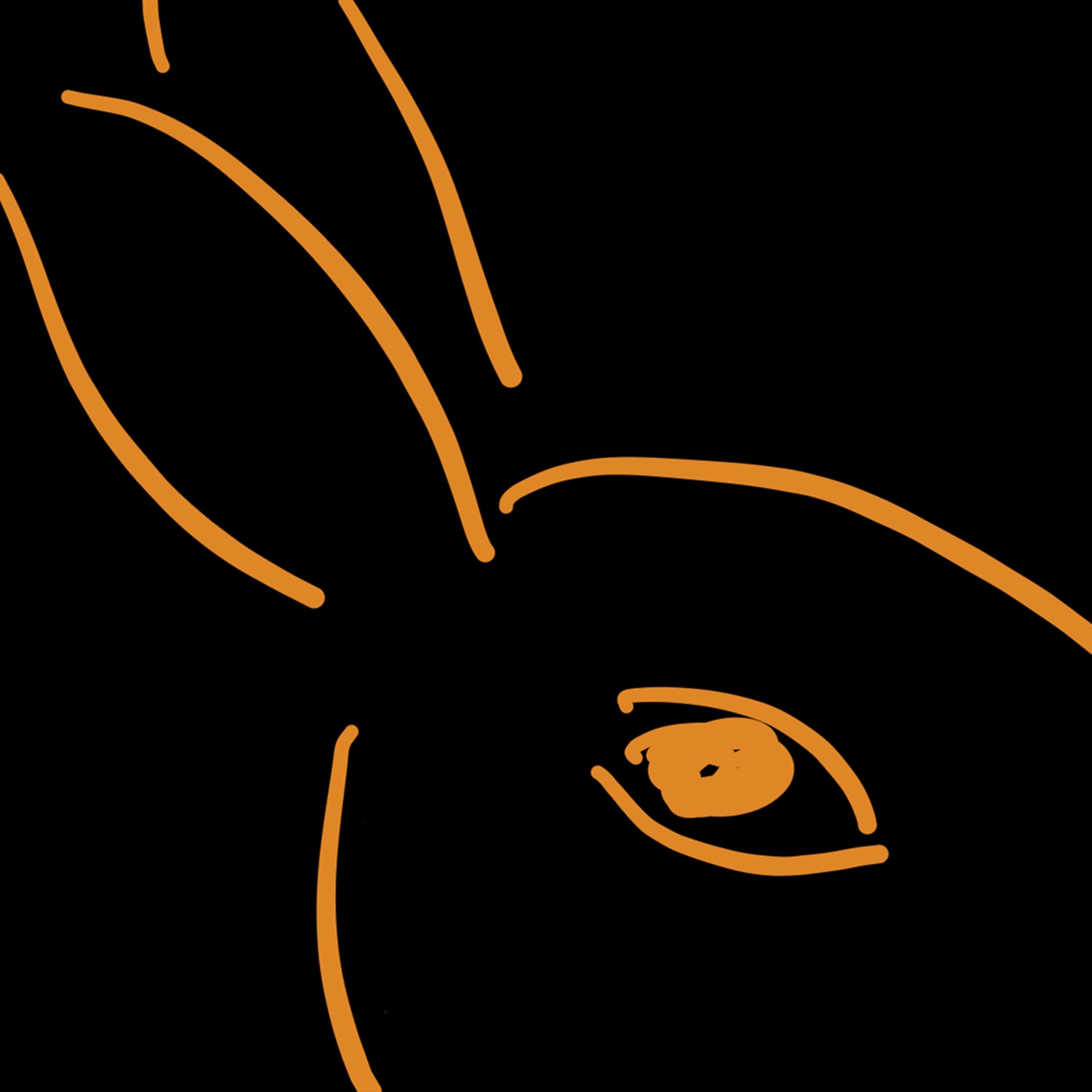 兔眼看电影 Rabbit's Eyes