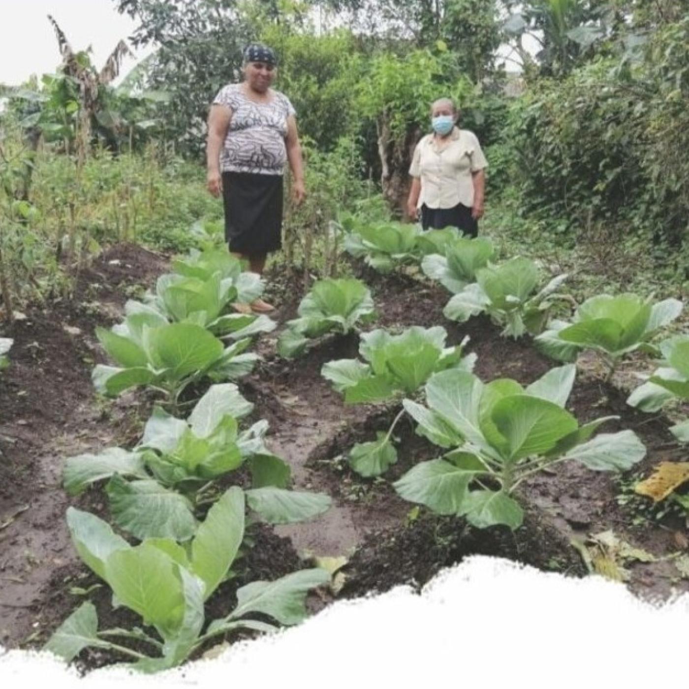 Máster en Agroecología (UNIA-UCO-UPO)