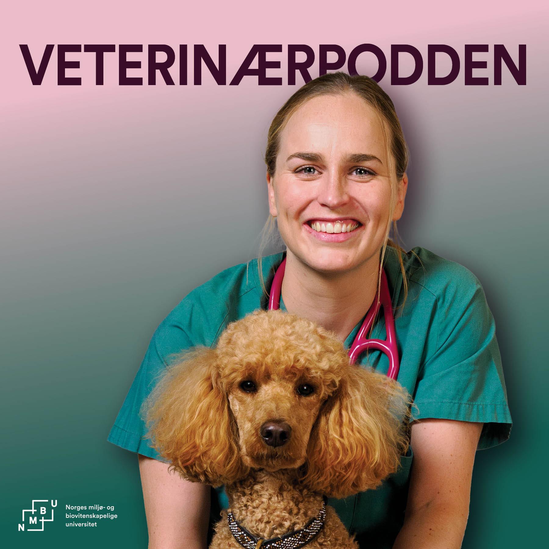 NMBU Veterinærpodden