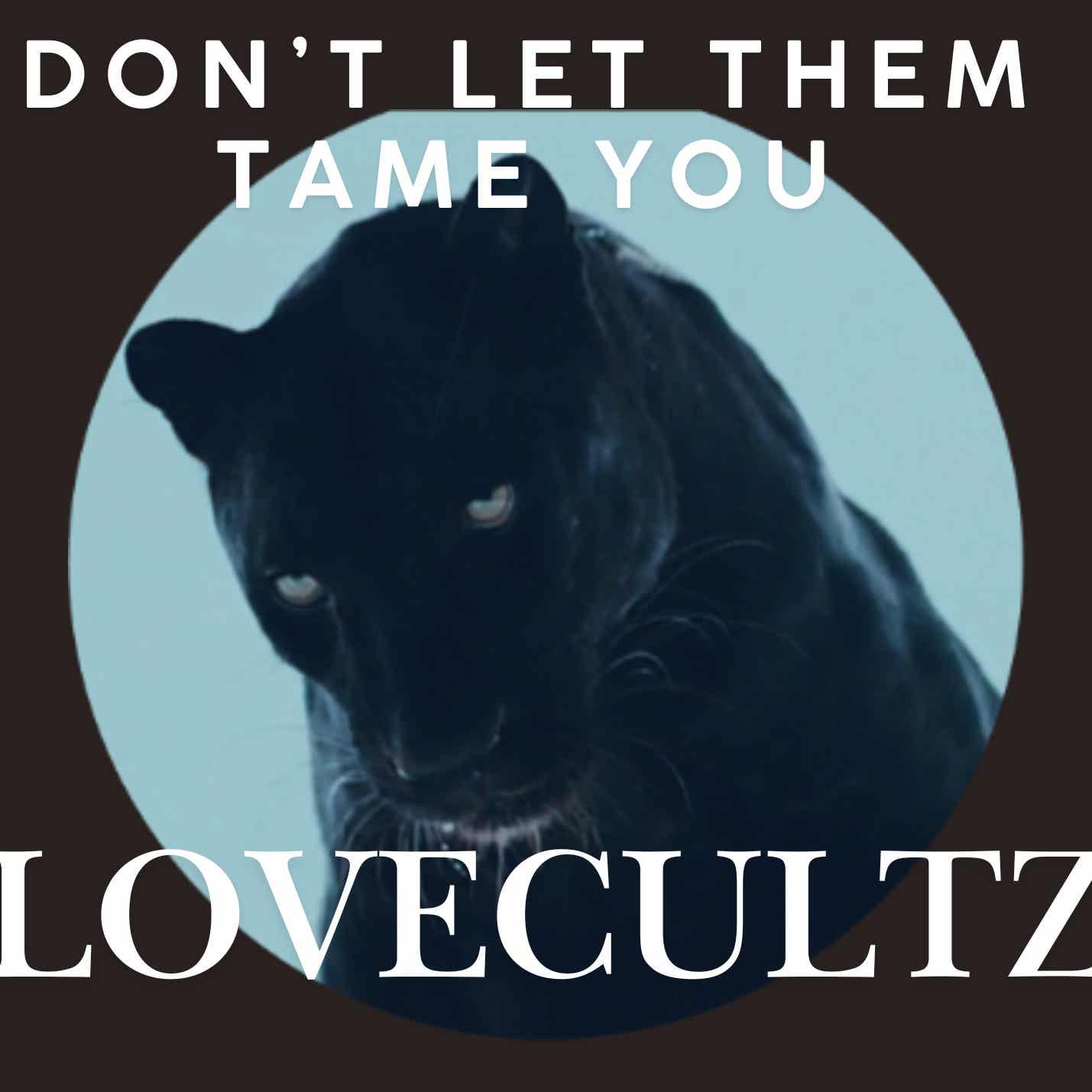 SEX CULT BLOG// SMUT VIDEO CLUB R RATED 18+